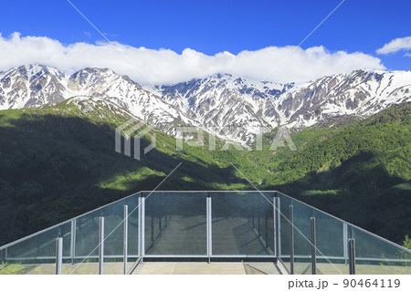 絶景テラス「ハクバ マウンテンハーバー」 新緑 絶景テラス「ハクバ マウンテンハーバー」 新緑 90464119