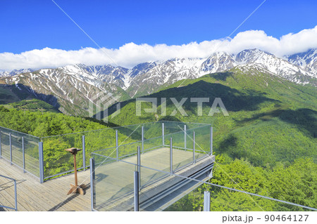 絶景テラス「ハクバ マウンテンハーバー」　新緑 90464127