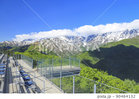 絶景テラス「ハクバ マウンテンハーバー」　新緑 90464132