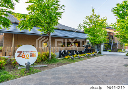 京都府京都市 快晴の京都市動物園 京都府京都市 快晴の京都市動物園 90464259