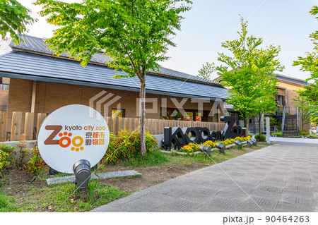 京都府京都市　快晴の京都市動物園 90464263