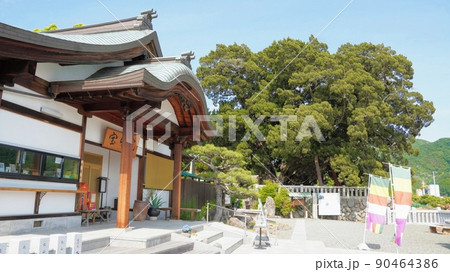 小豆島霊場54番宝生院のシンパク2【香川県小豆郡土庄町上庄】 小豆島霊場54番宝生院のシンパク2【香川県小豆郡土庄町上庄】 90464386