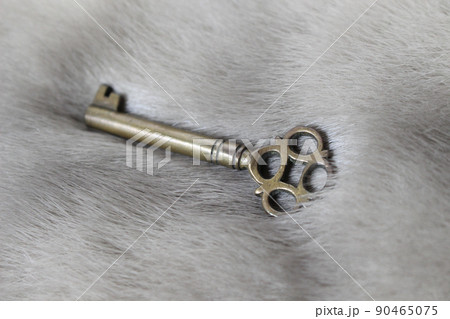 大切な古い鍵 90465075