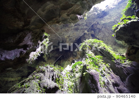 マレーシア　ボルネオ島　サラワク州バウのフェアリー洞窟 90465140