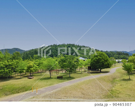 広大なキャンプ場(府民の森・日吉) 広大なキャンプ場(府民の森・日吉) 90465307