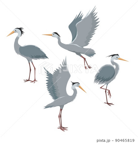 Fly and stand herons Fly and stand herons 90465819