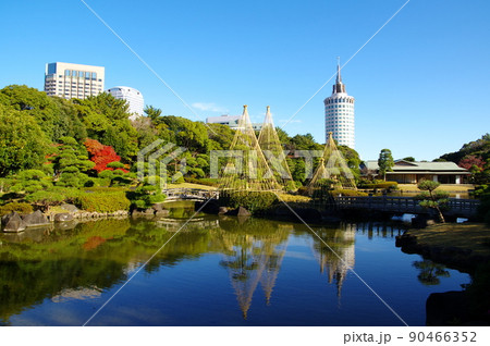 日本庭園／見浜園の池と雪吊り（千葉市美浜区） 90466352