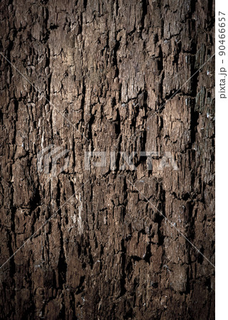 Texture of old wood with cracks. Old, cracked wood background, high resolution. 90466657