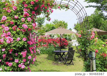 初夏の花々満開のくじゅう花公園 初夏の花々満開のくじゅう花公園 90466987