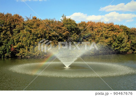 県立明石公園の噴水と虹 県立明石公園の噴水と虹 90467676