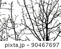 black winter tree branches on white background 90467697