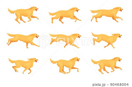 Retriever running animation. Cartoon dog run, motion sequence step 2d character pet, animals doggy poses in movement, running and jumping puppy, exact isolated vector illustration 90468004