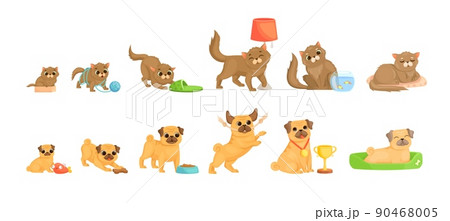 Pets growth stages. Little cat and dog characters, tenderness small animal, dogs and cats petting, love kitten, junior and elderly pet, cute cartoon exact vector illustration 90468005