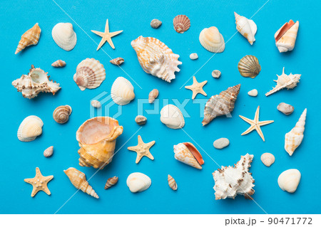 Summer time concept Flat lay composition with beautiful starfish and sea shells on colored table, top view Summer time concept Flat lay composition with beautiful starfish and sea shells on colored table, top view 90471772