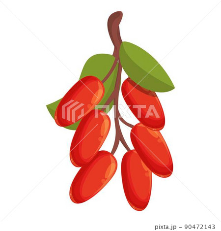 Barberry fruit icon cartoon vector. Goji berry. Organic branch 90472143