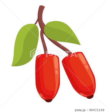 Barberry plant icon cartoon vector. Goji fruit. Nature fresh 90472149