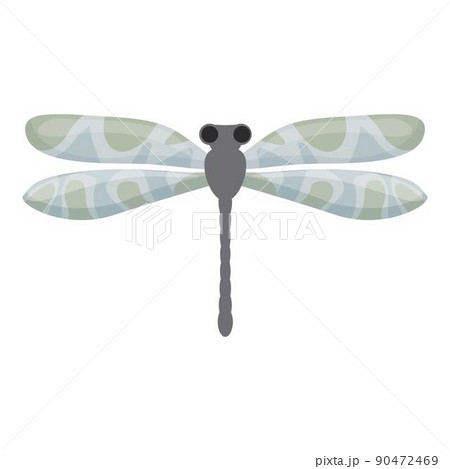 Grey dragonfly icon cartoon vector. Wing insect. Butterfly bug Grey dragonfly icon cartoon vector. Wing insect. Butterfly bug 90472469
