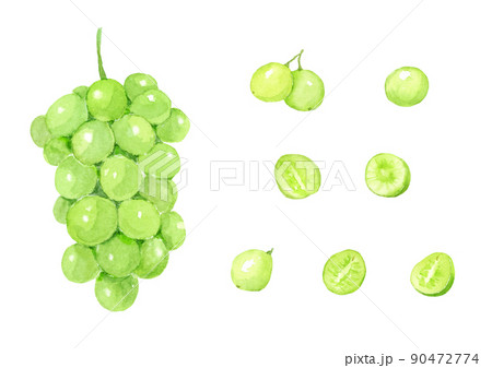 マスカットの水彩イラストセット　ベクター 90472774