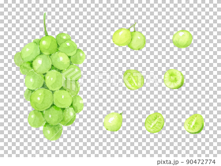 馬斯喀特水彩插圖集矢量 90472774