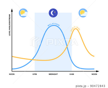 Sleep wake cycle 90472843