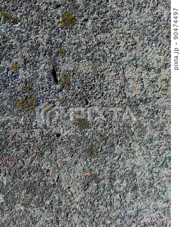 texture gray old concrete overgrown with moss. 90474497