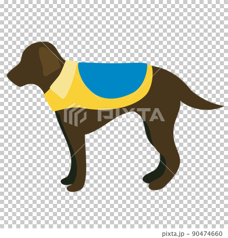 站立服務犬 90474660