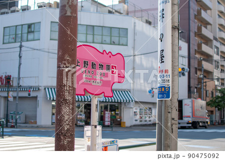 不忍通り／東京都文京区 90475092