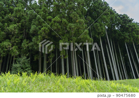 室生山上公園 芸術の森 室生山上公園 芸術の森 90475680