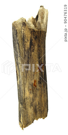 log wood isolated on white background log wood isolated on white background 90476319
