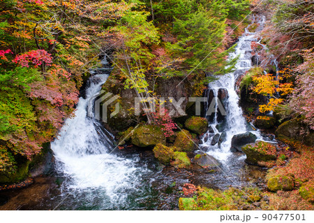 竜頭の滝(秋) 竜頭の滝(秋) 90477501