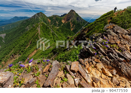 八ヶ岳連峰・権現岳稜線から見る赤岳・阿弥陀岳 90477550