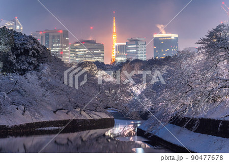 《東京都》積雪の東京・雪景色の千鳥ヶ淵 《東京都》積雪の東京・雪景色の千鳥ヶ淵 90477678
