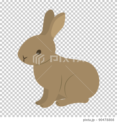 Illustration of wild rabbit 90478808