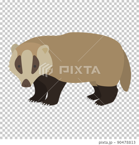 穴熊のイラスト 90478813