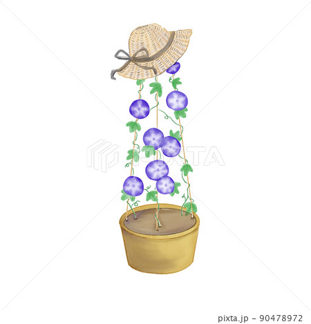 麦わら帽子と朝顔の鉢植え 麦わら帽子と朝顔の鉢植え 90478972
