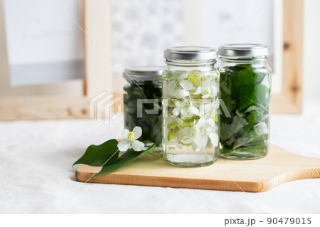 ドクダミチンキ　手作りコスメのイメージ素材 90479015