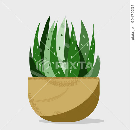 Ceramic containers and vase with cactus Ceramic containers and vase with cactus 90479232