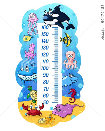 Kids height chart, cartoon underwater animals, growth measure meter. Vector centimeter scale with cute sea whale, fishes and octopus, jelly fish, squid and crab or shell. Wall sticker for children Kids height chart, cartoon underwater animals, growth measure meter. Vector centimeter scale with cute sea whale, fishes and octopus, jelly fish, squid and crab or shell. Wall sticker for children 90479482