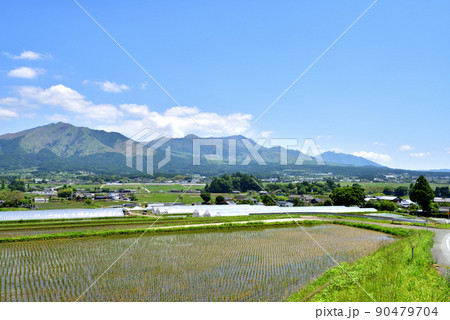 初夏の南阿蘇風景 日本の南プロバンス地方と言われる南阿蘇 初夏の南阿蘇風景 日本の南プロバンス地方と言われる南阿蘇 90479704