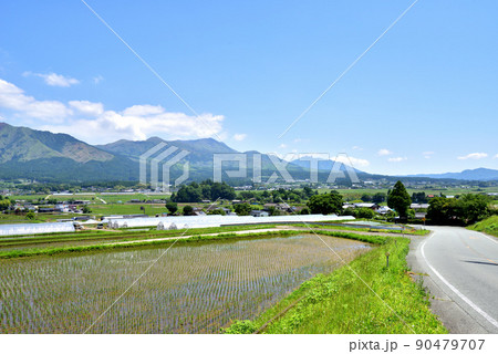 初夏の南阿蘇風景　日本の南プロバンス地方と言われる南阿蘇 90479707