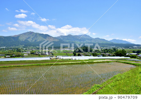初夏の南阿蘇風景　日本の南プロバンス地方と言われる南阿蘇 90479709