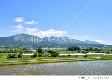 初夏の南阿蘇風景　日本の南プロバンス地方と言われる南阿蘇 90479712