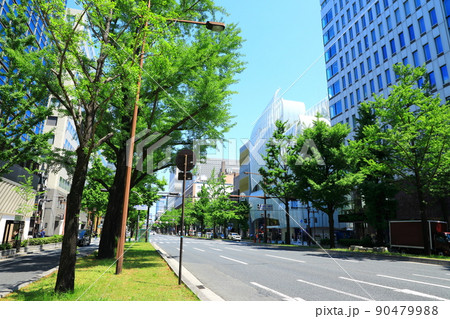 御堂筋 新緑の銀杏並木 御堂筋 新緑の銀杏並木 90479988