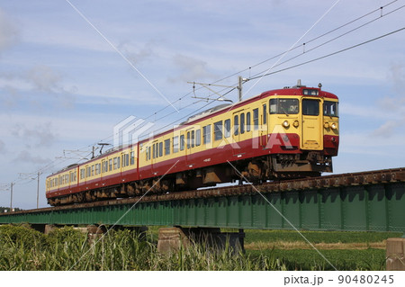 終焉近い越後線115系（懐かしの新潟色） 90480245