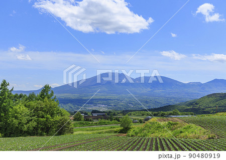 浅間山 90480919