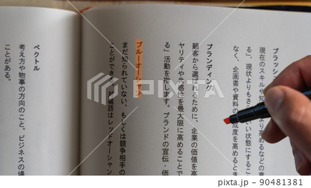 会社で働くサラリーマン 社会人の職場 専門・ビジネス用語（ブルーオーシャン）オレンジ 90481381