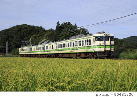 終焉近い越後線115系電車 90481506
