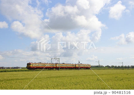 終焉近い越後線115系電車（旧新潟色） 90481516