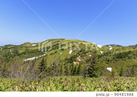 白根山 90481988