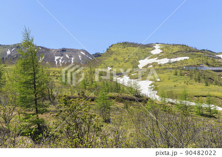 白根山 90482022